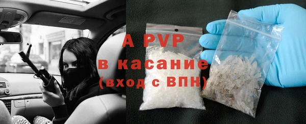 ECSTASY Дмитриев