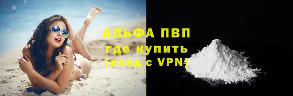 ECSTASY Дмитриев