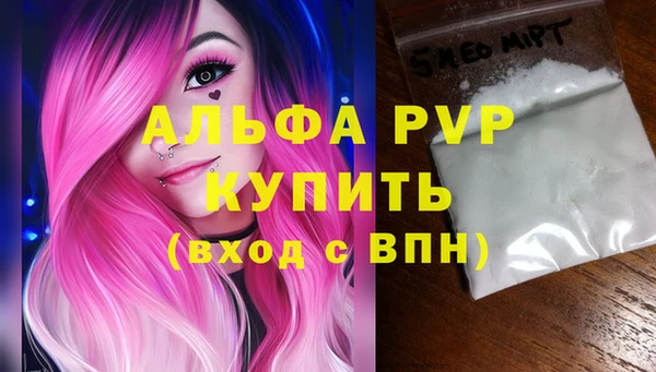 ECSTASY Дмитриев