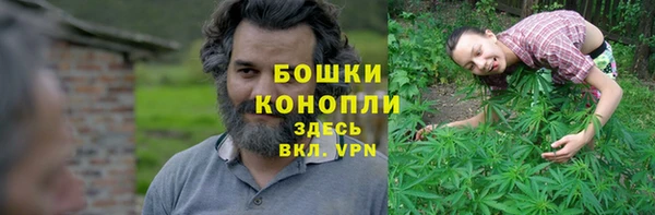 амф Дмитровск
