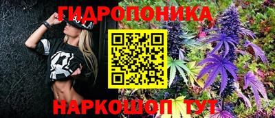 прущие грибы Вязники