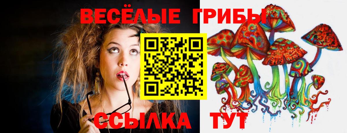 Тейково  Галлюциногенные грибы мухоморы  Вход с VPN 